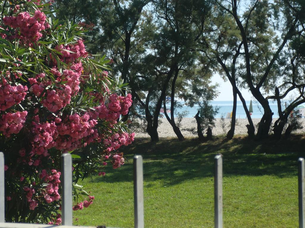Residence Marche - Residenza Ecologica Lido di Fermo Bagian luar foto